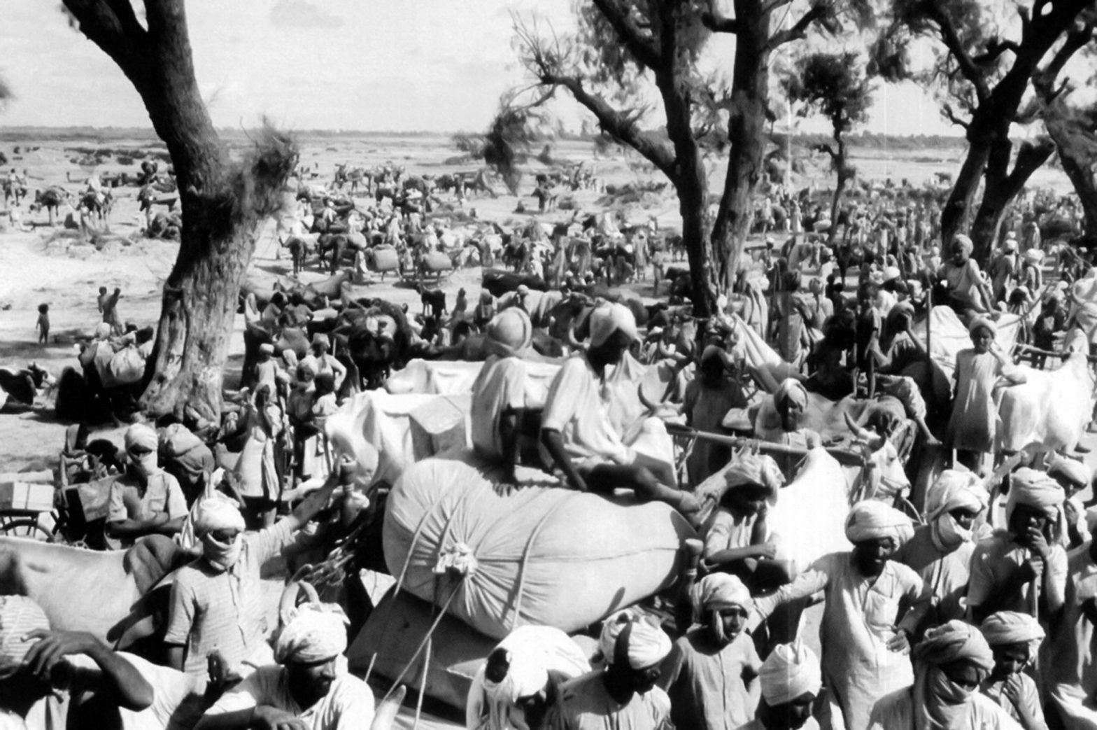 partition trail image in black and white of a large population of people
