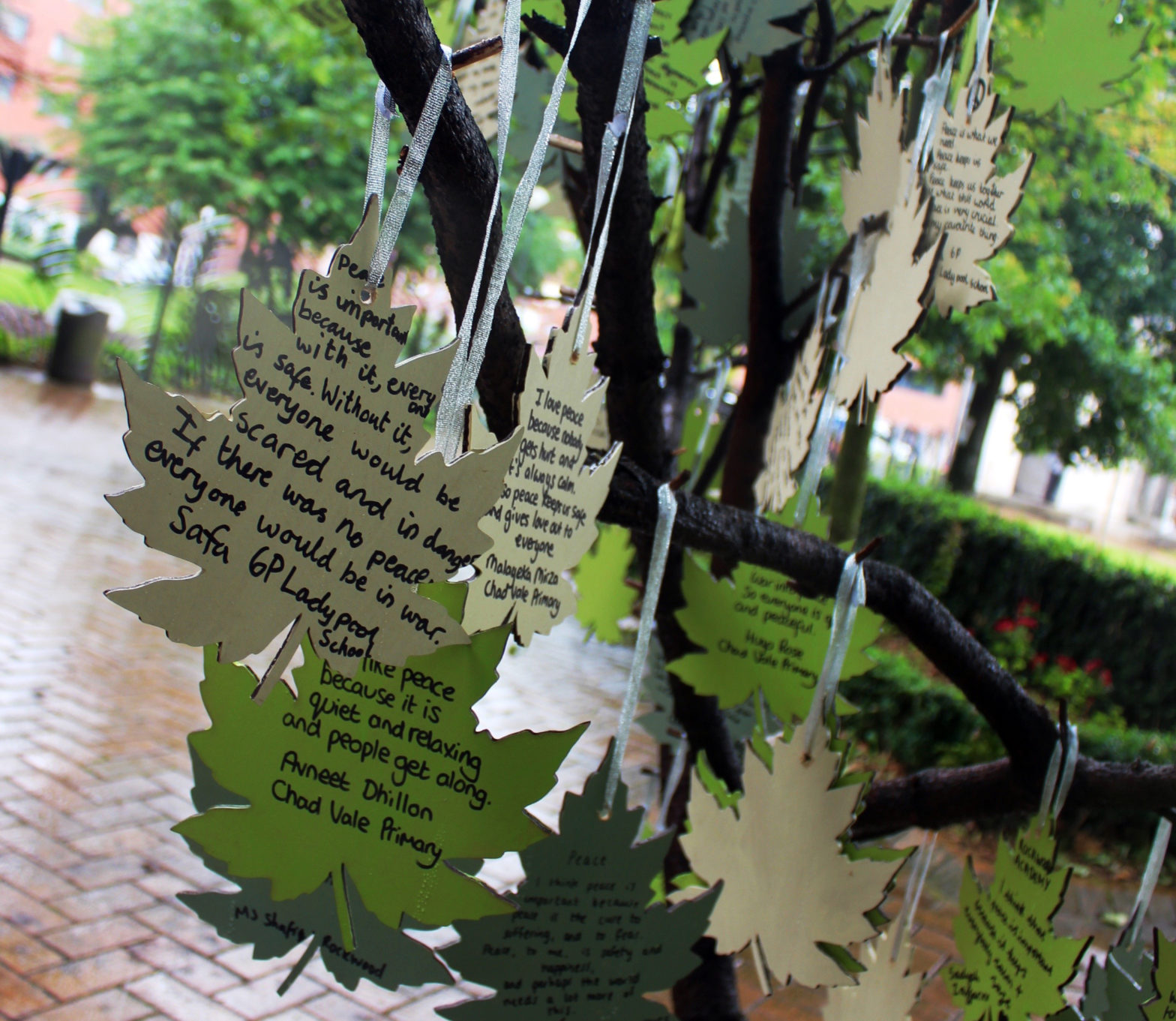 Words of peace leaves hanging