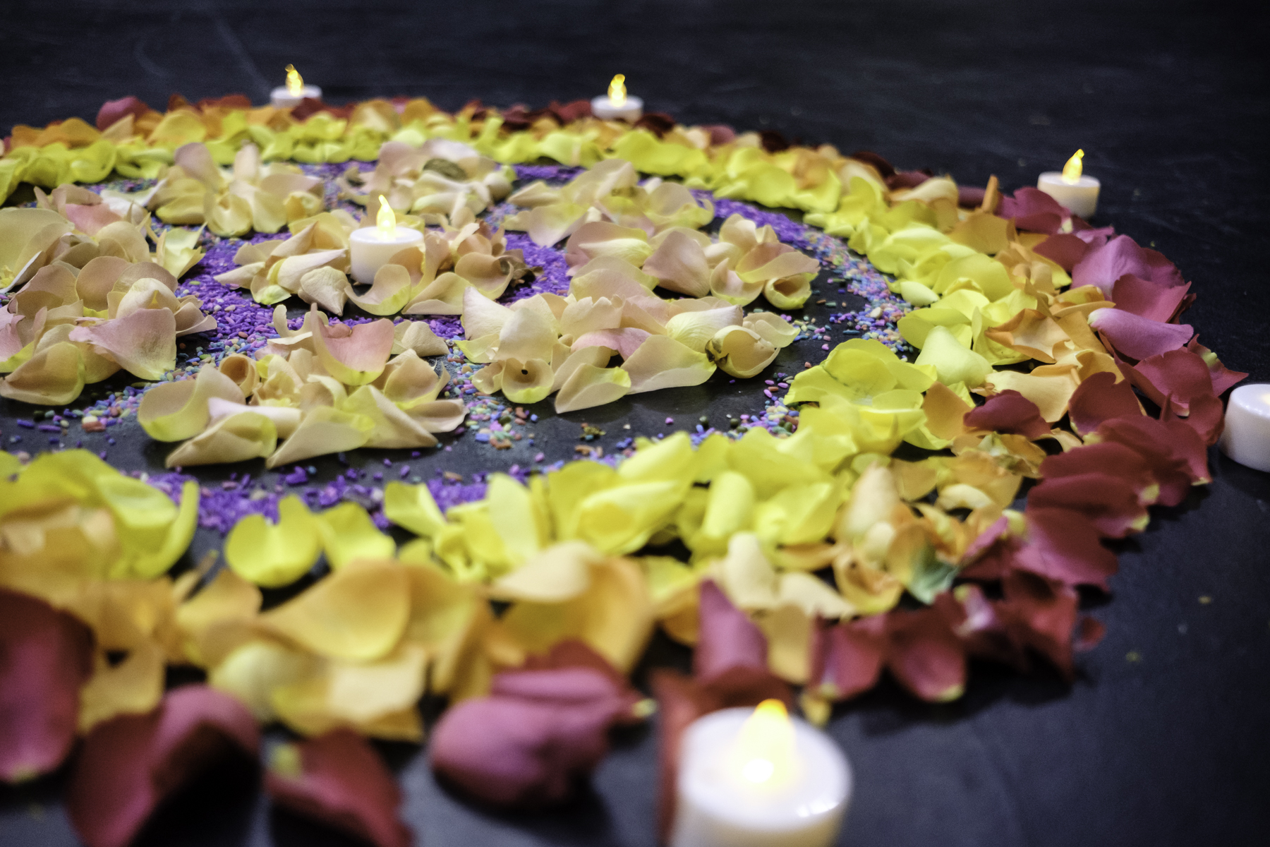 Image for International Day of Peace
