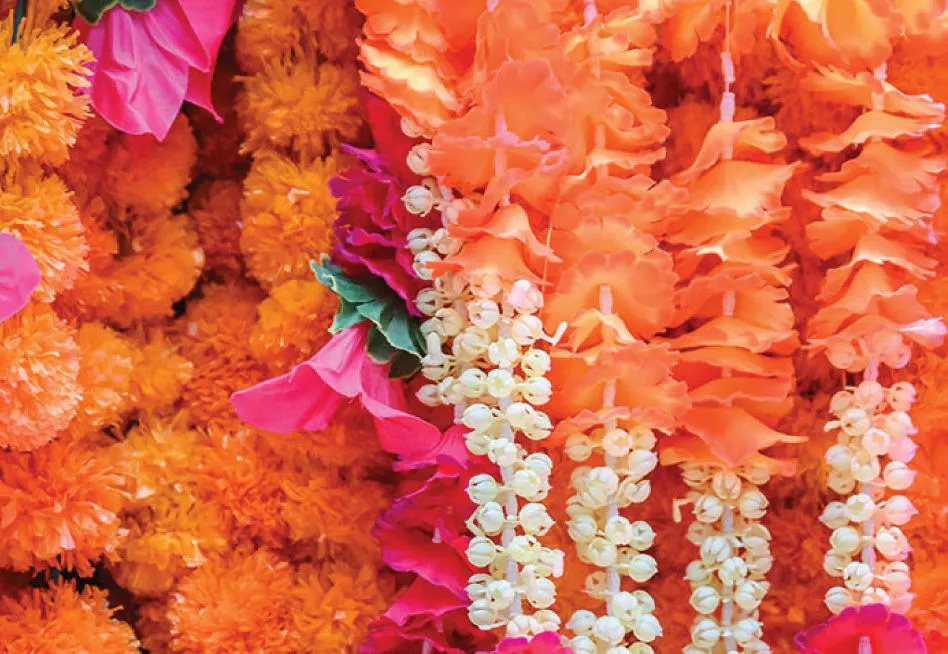 Celebrate the summer solstice with Sampad